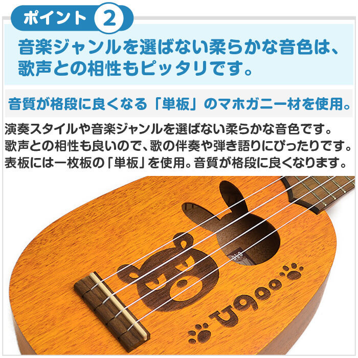 【aNuenue U-2】マホガニー材・入門に最適なウクレレセット【コンサート】 aNuenue U-2】マホガニー材・入門に最適なウクレレセット