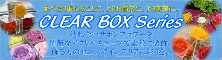 サボンフラワー自由花ヤフー店：クリアボックスシリーズ