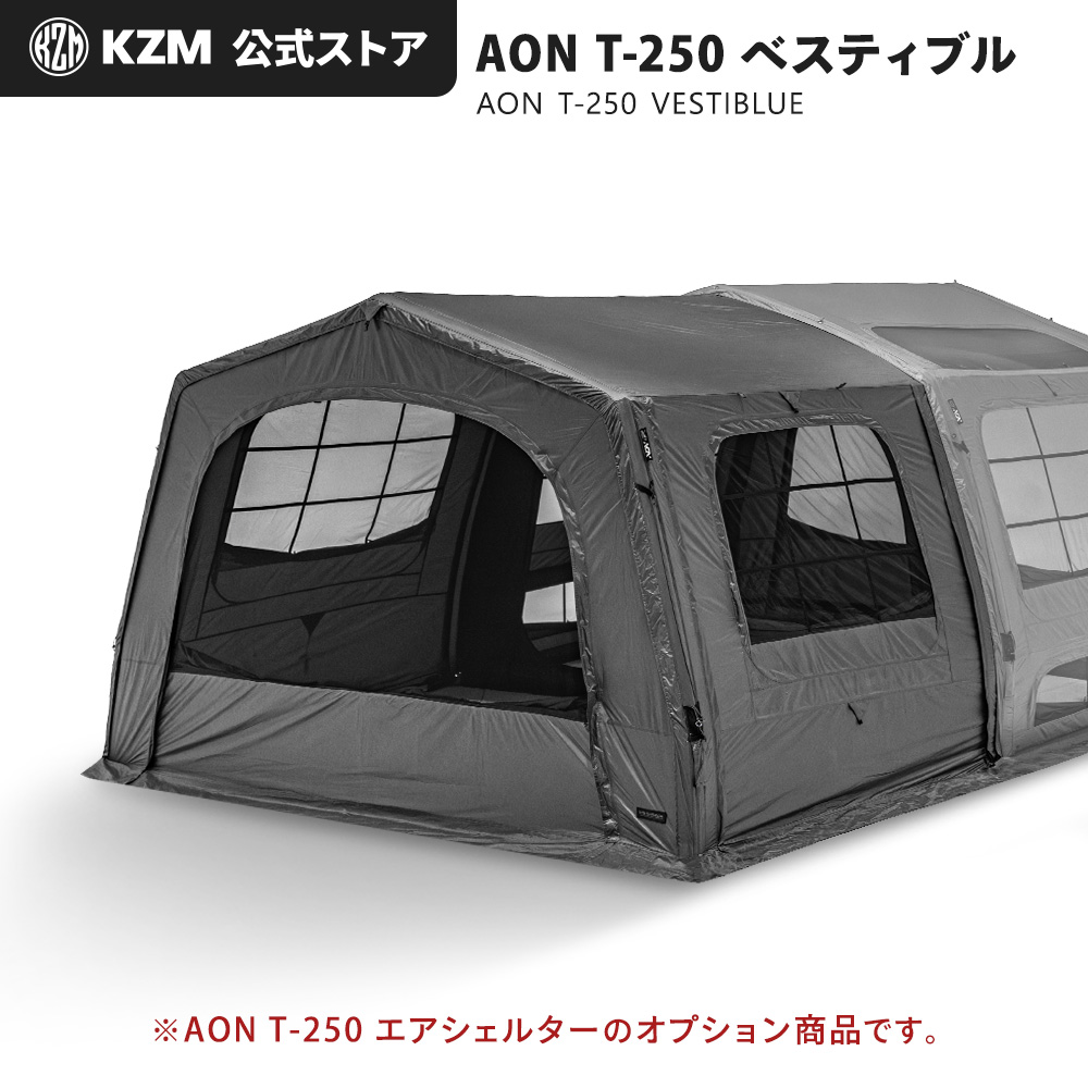 AON T-250 ベスティブル