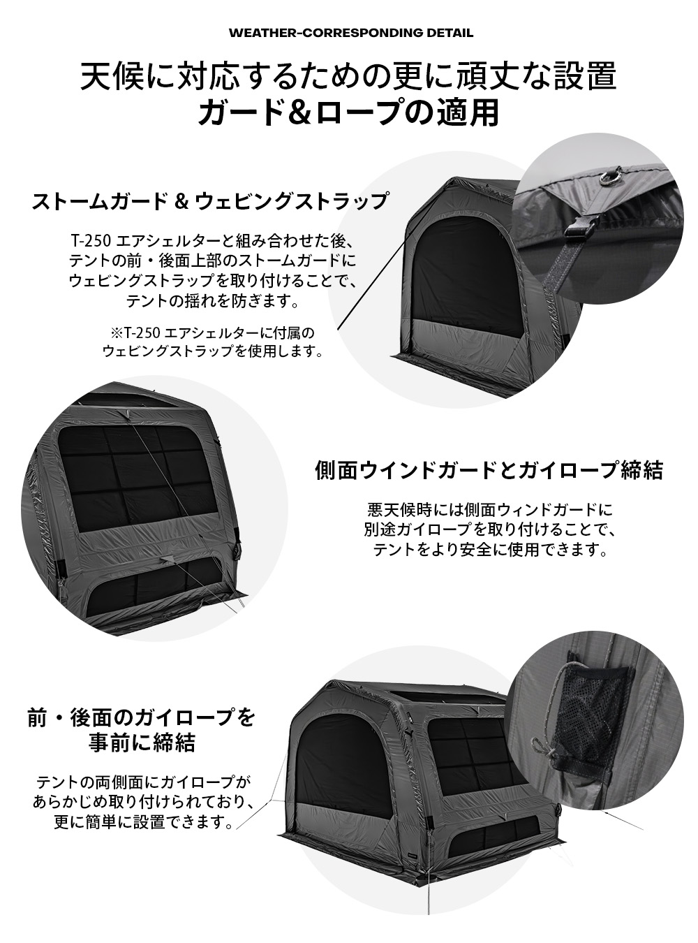 AON T-250 ベスティブル