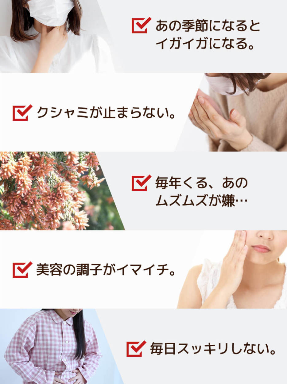 ソレダメ で話題のレンコン メール便 送料無料 遠赤外線乾燥れんこん粉末 100g 無添加 無着色 Pd108 こだわり食品ジャックと豆の木 通販 Yahoo ショッピング