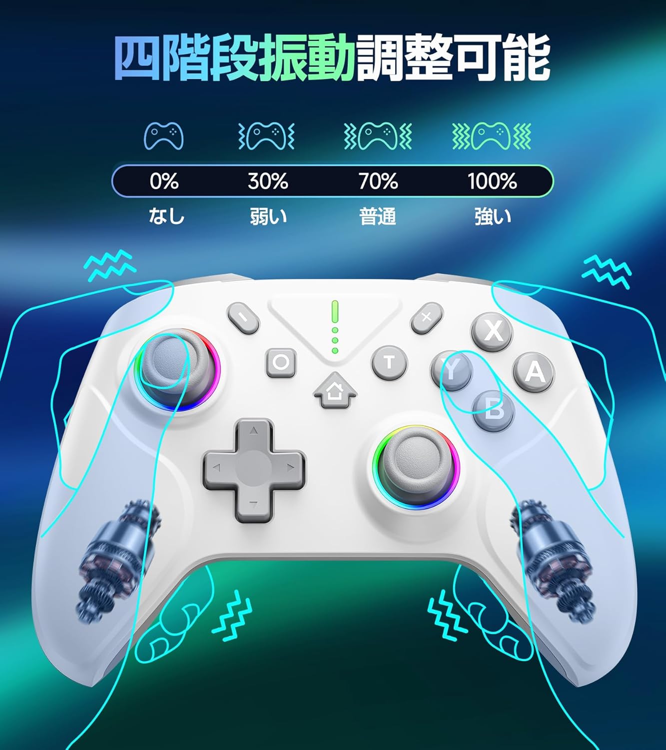 Nintendo Switch2 コントローラー Switch1/2代対応 ダブルホール