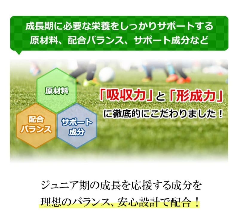 数量限定☆半額キャンペーン 】ジュニアアスリートを応援する栄養