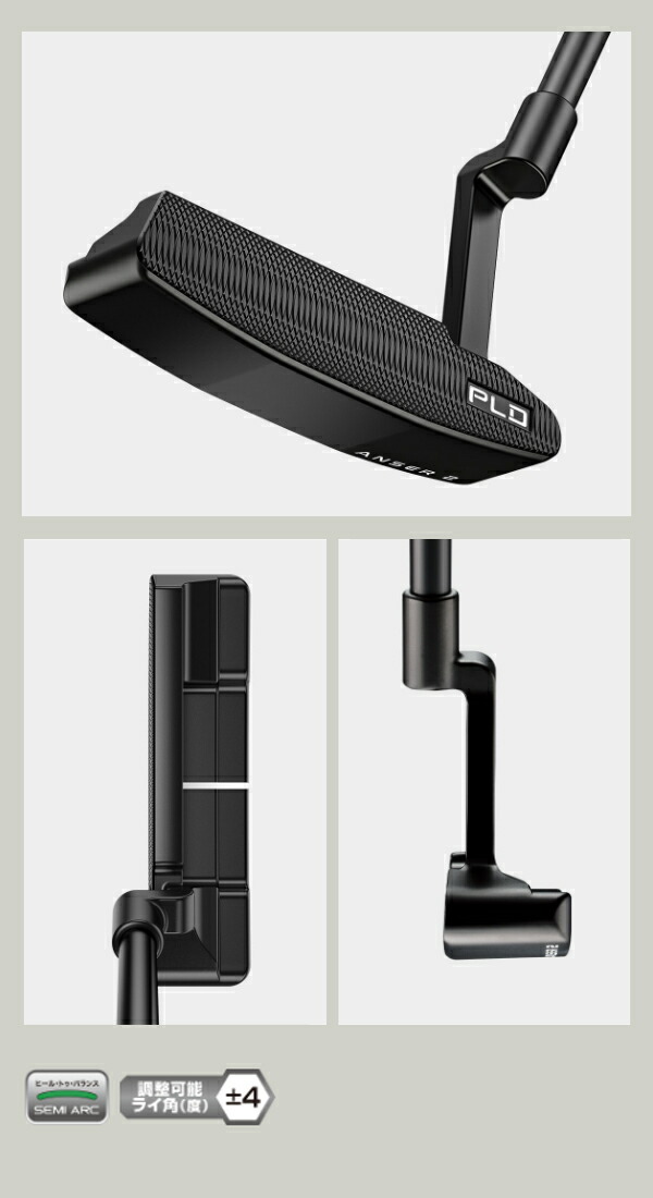 ping-pld22-pt-ans2b2.jpg