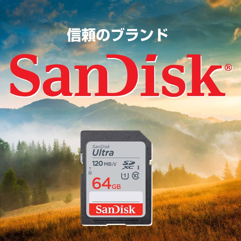 嘉年華 / SDXCカード Ultra 64GB UHS-I U1 R:120MB/s Class10 SanDisk サンディスク  SDカードSDSDUN4-064G-GN6IN海外向けパッケージ