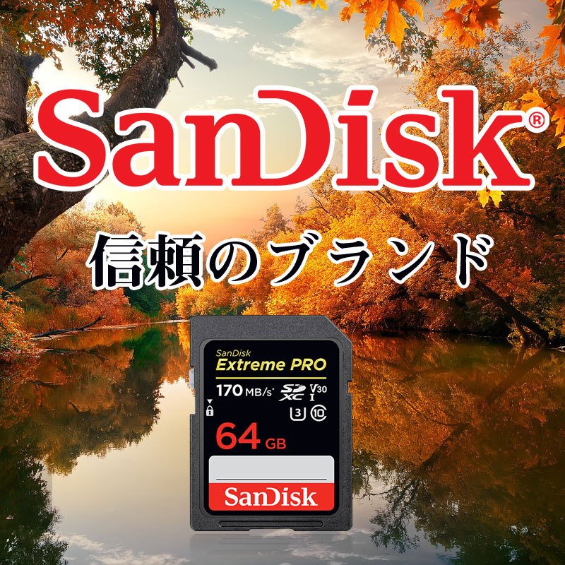 翌日配達 SanDisk ExtremePro UHS-I U3 SDXC 64GB class10 170MB/s V30 4K Ultra  HD対応SDSDXXY-064G-GN4IN海外パッケージSA1409XXY 秋のセール :SA1409XPA:嘉年華 - 通販 -  Yahoo!ショッピング
