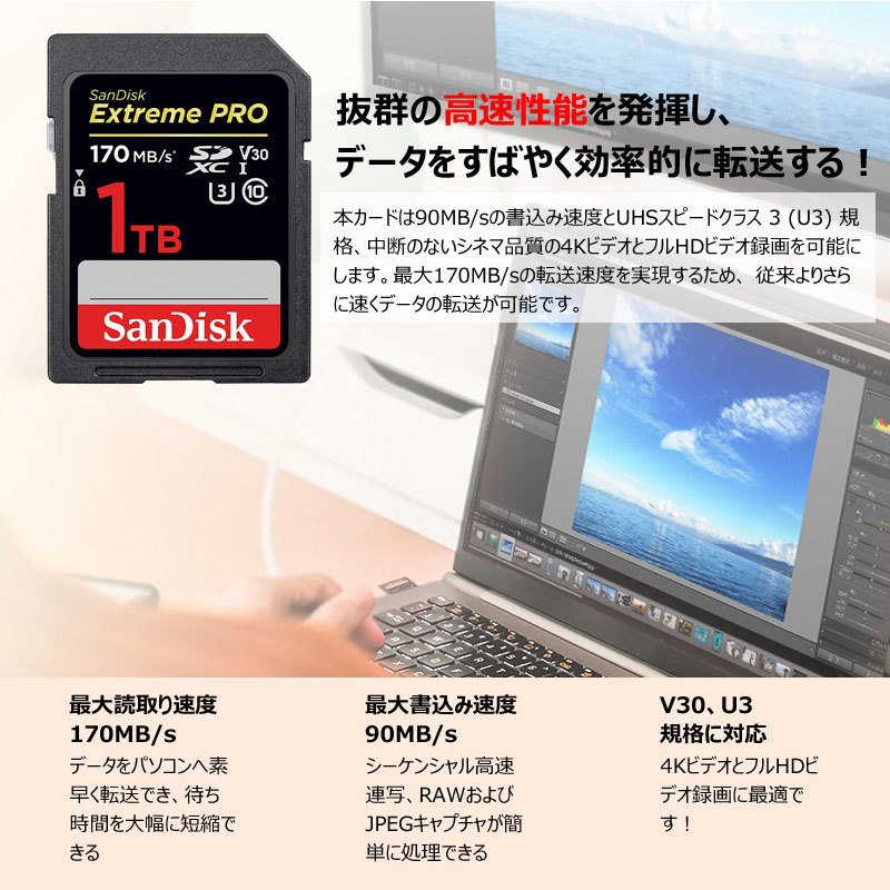 SDカード SanDisk Extreme Pro UHS-I U3 SDXCカード 1TB class10 超
