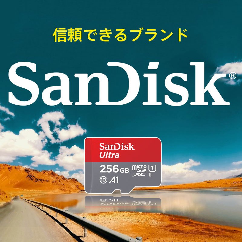 公式】 SanDisk SDSQXAV-256G-JN3MD エクストリーム microSDXC UHS-I カード 256GB fucoa.cl