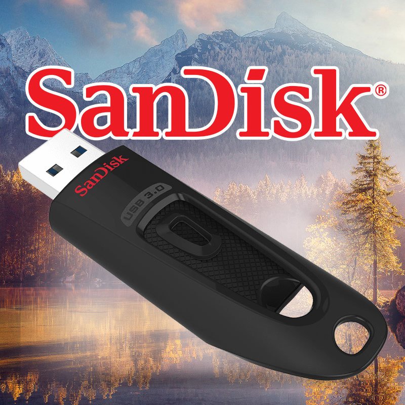 USBメモリ 256GB サンディスク Sandisk ULTRA USB3.0 高速 100MB/ｓ 海外パッケージ SDCZ48-256G-U46  翌日配達対応 送料無料 :SA7111CZ48:嘉年華 通販 