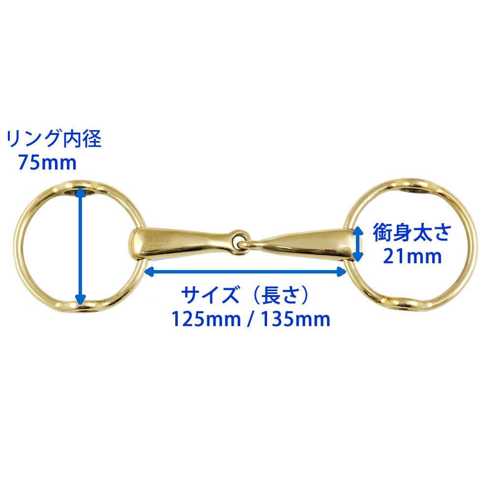 唾液　ボールギャグ 