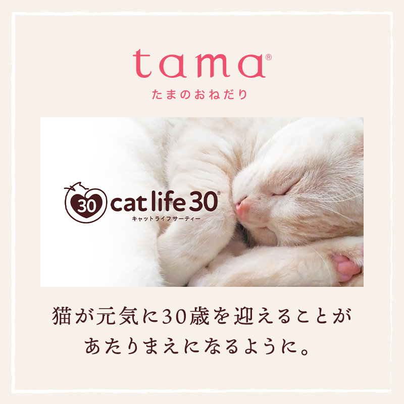「送料無料」tama プレミアムキャットフード しっかりお試しセット 猫 トライアル ドライフード ウェットフード ドライもウェットもオヤツも送料無料でお試し！ | tama（ペット用品） | 04