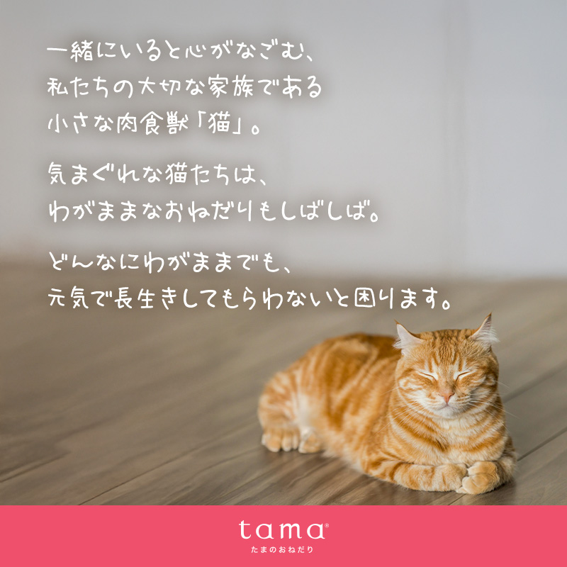 「送料無料」tama プレミアムキャットフード しっかりお試しセット 猫 トライアル ドライフード ウェットフード ドライもウェットもオヤツも送料無料でお試し！ | tama（ペット用品） | 05