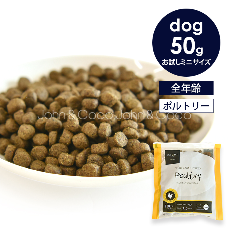 「送料無料」POCHI（ポチ）プレミアムドッグフード しっかりお試しセット 犬 トライアル ドライフード ウェットフード |  | 05