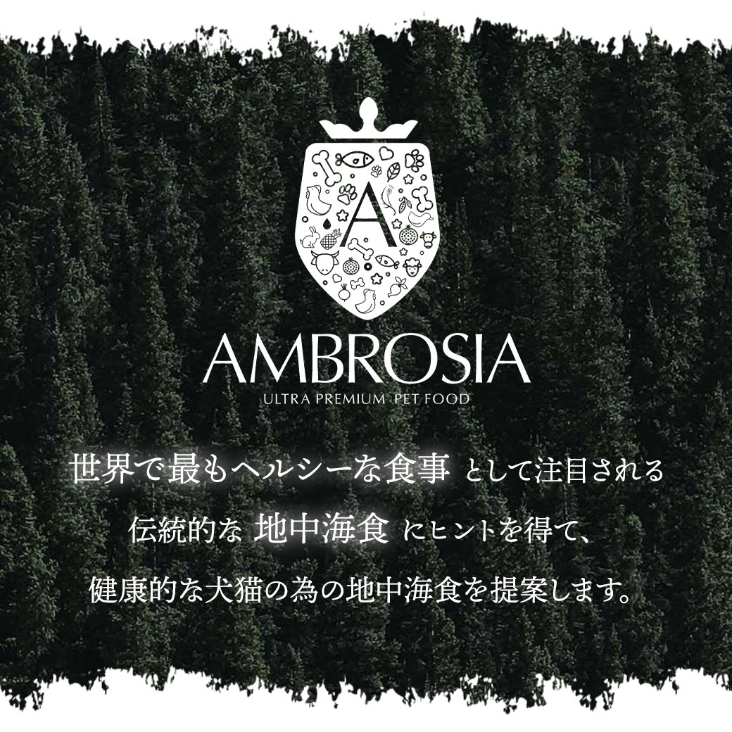アンブロシア DOG HMN ダック100g ドッグフード ドライフード 犬のごはん 地中海食 鶏肉 グレインフリー お腹 アレルギー |  | 05