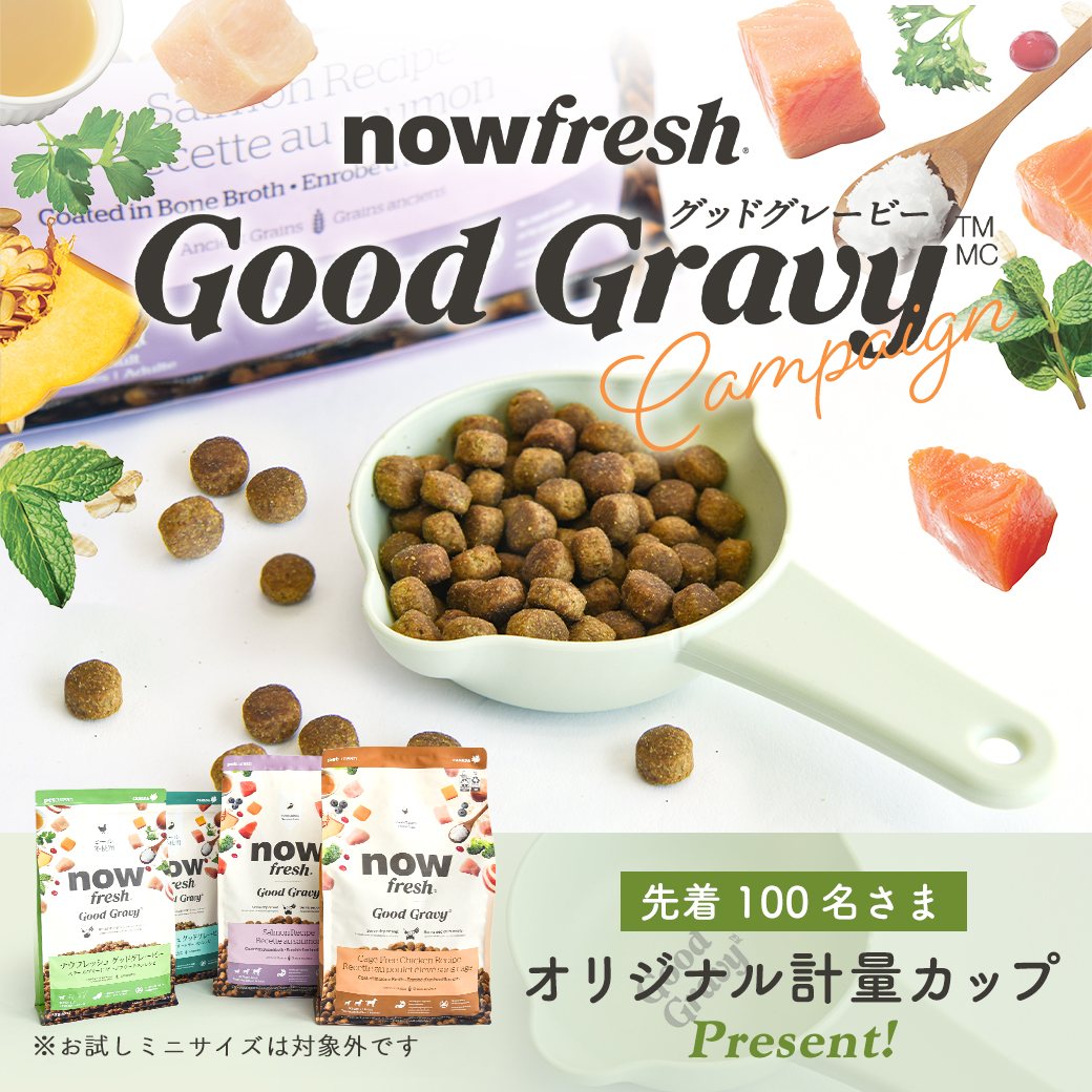 NOW FRESH 「先着プレゼント付」ナウ フレッシュ（NOW FRESH） グッド
