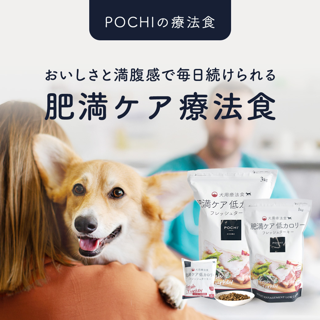 POCHI(ポチ) 食事療法食 肥満ケア 低カロリー フレッシュターキー 3kg 犬 ドッグフード ドライフード 獣医師監修 ダイエット 低脂肪食 脂質制限【公式販売店】 関連画像3