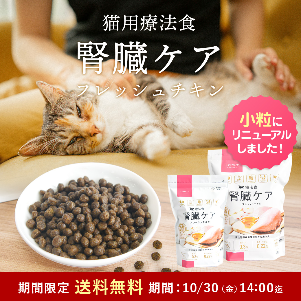 【みみっ子さま専用】猫用療法食　腎臓ケア　まとめ売り　3kg 261002_tkk_1040.jpg
