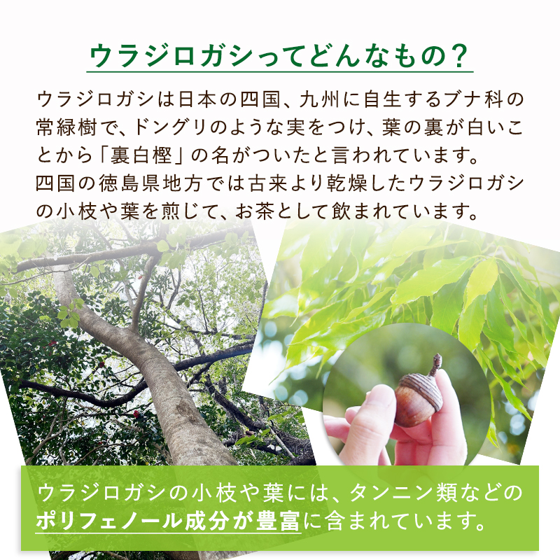 ウラジロン 60粒 （犬猫用） 尿ケア 犬 猫 サプリメント 国産 : 犬と猫