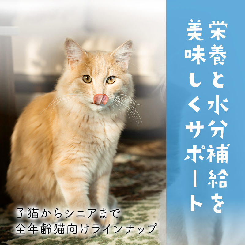 アタス CAT デイリーディフェンス ツナ＆チキン ディジェスティブケア 80g 猫 ウェットフード 全年齢 水分補給 魚 お腹 プロバイオ | Aatas Cat | 05
