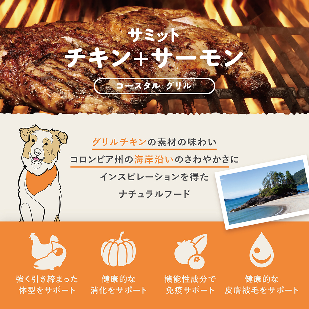 doggy sky 　ダック＆サーモン ドッグフード 3袋➕3袋セット Petcurean 「先着50名さま！オヤツプレゼント」サミット DOG チキン+