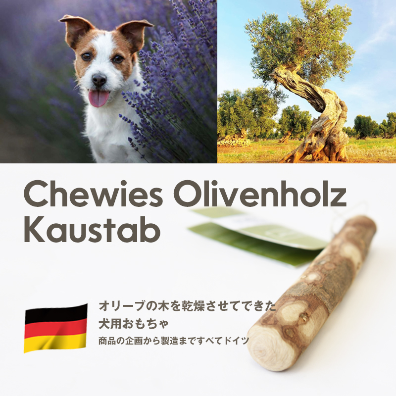 チューズ オリーブウッド XS 犬用 おもちゃ 噛む オリーブの木 小型犬