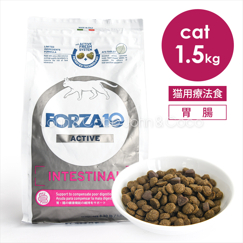 FORZA10（フォルツァディエチ） フォルツァ10 CAT アクティウェット