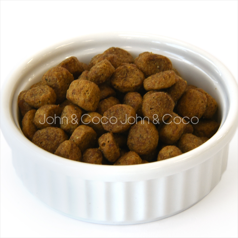 FORZA10 フォルツァ10 DOG デイリープロ アダルトミニ ベニソン 1.5kg