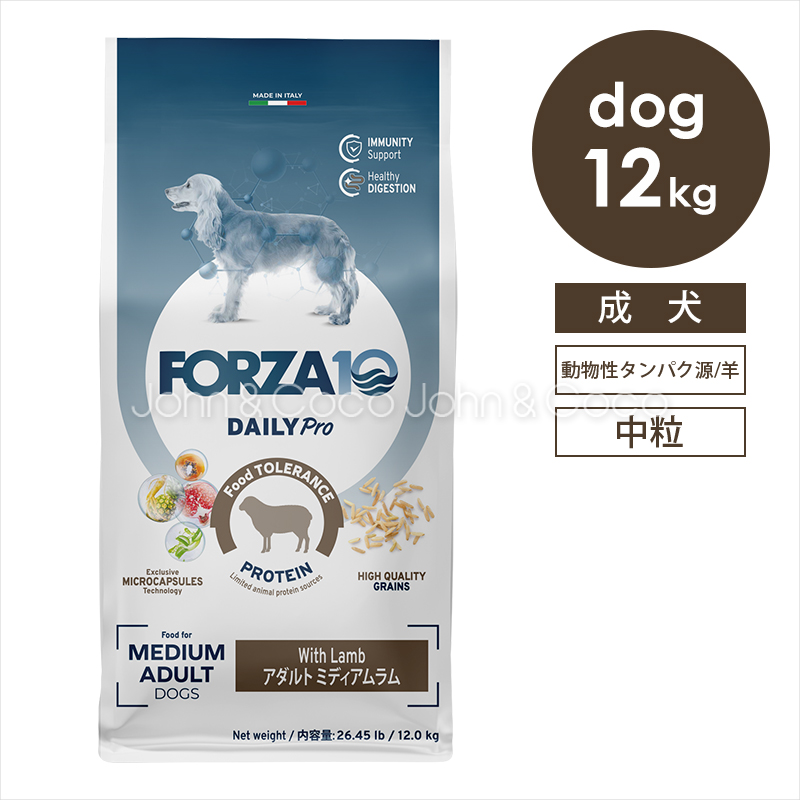 Dogdie　王秋梨　約10キロ Dogdie 王秋梨 約10キロ b5e77491ee9fde06fe6bea3ea92503