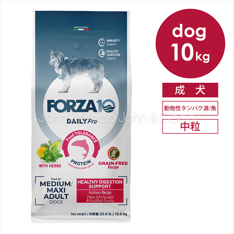 フォルツァ10 DOG デイリープロ アダルトミディアム ヘルシーダイジェスチョン 10kg