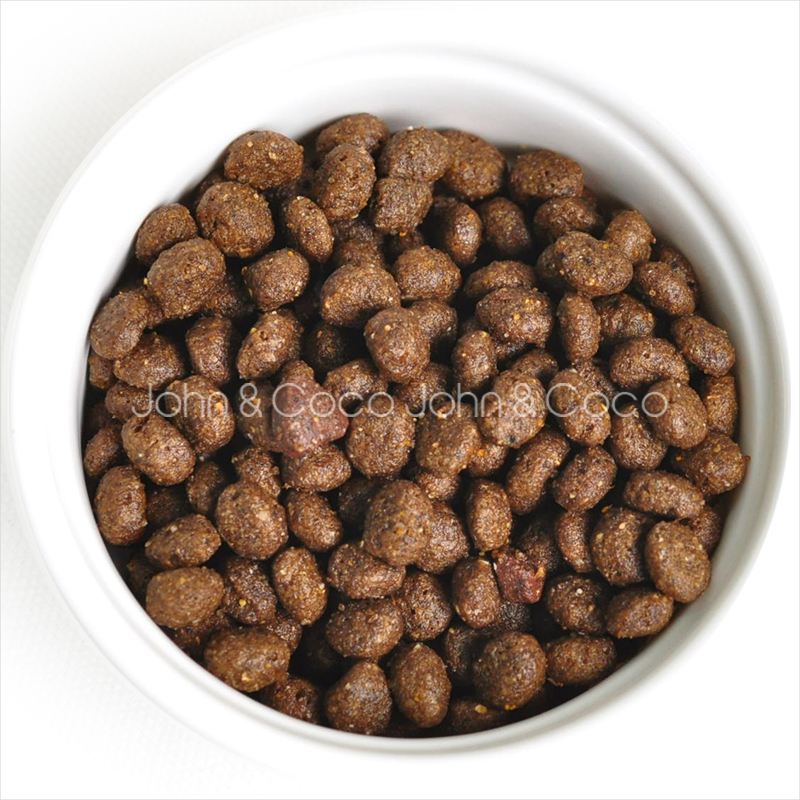 FORZA10（フォルツァディエチ） エコーアクティブ ミディアム 4kg : 犬