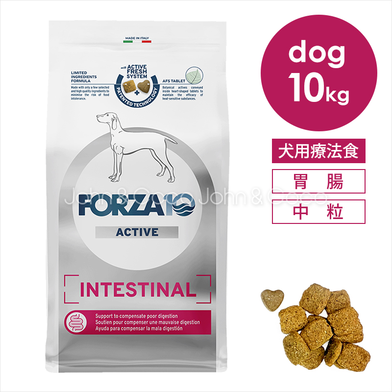 FORZA10 OTO active 犬用 10kg FORZA10 OTO active 犬用 10kg 【公式通販】