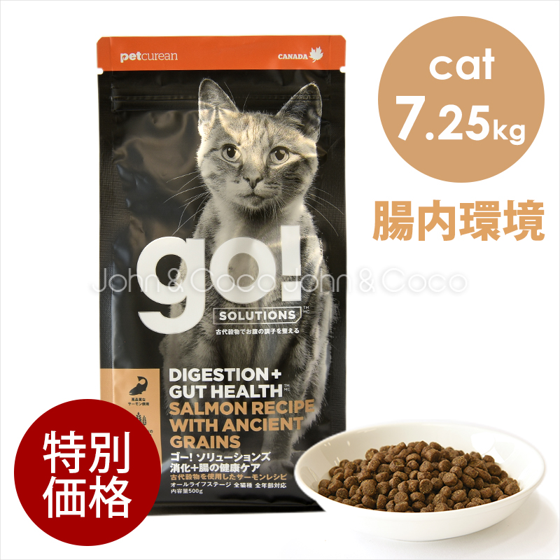 ゴー 【特別価格】 CAT 消化＋腸の健康ケア サーモン 7.25kg　キャットフード ドライフード