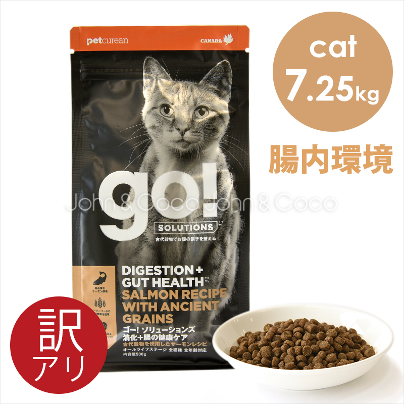 ゴー 特別価格 CAT 消化＋腸の健康ケア サーモン 7.25kg キャットフード ドライフード 猫のごはん 訳アリ