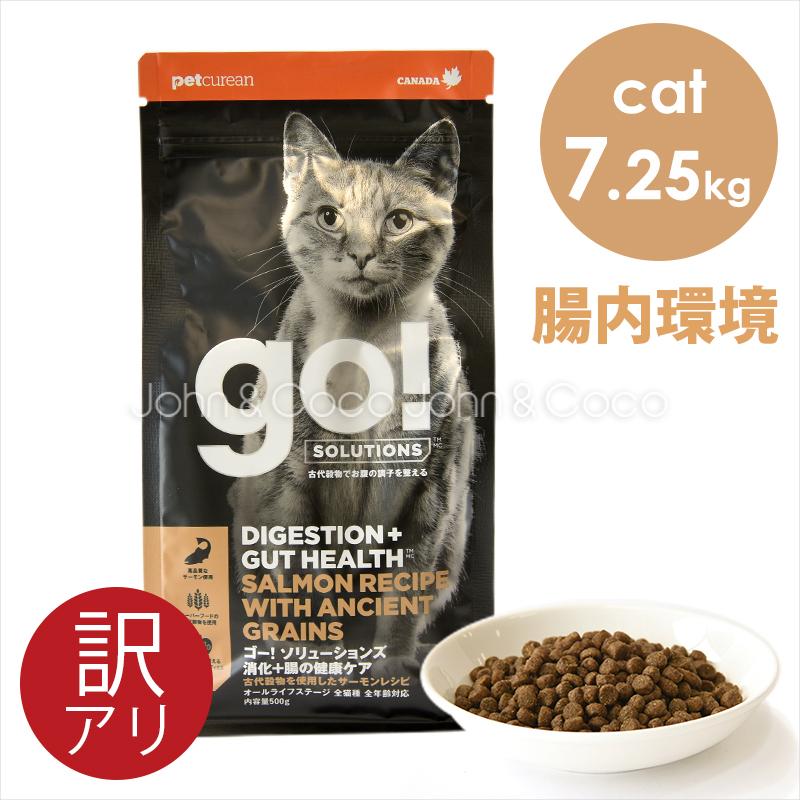 ゴー 特別価格 CAT 消化＋腸の健康ケア サーモン 7.25kg キャットフード ドライフード 猫のごはん 訳アリ｜john-coco
