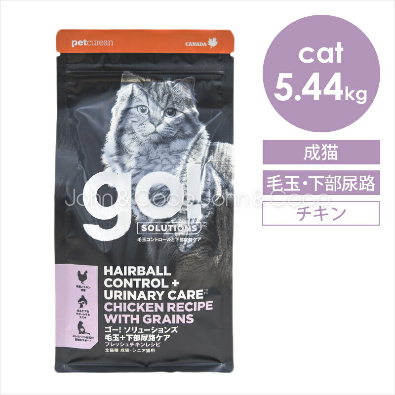 [売れ筋 ] MT4QH1R1Z9L (MT4QH1R1Z9L)