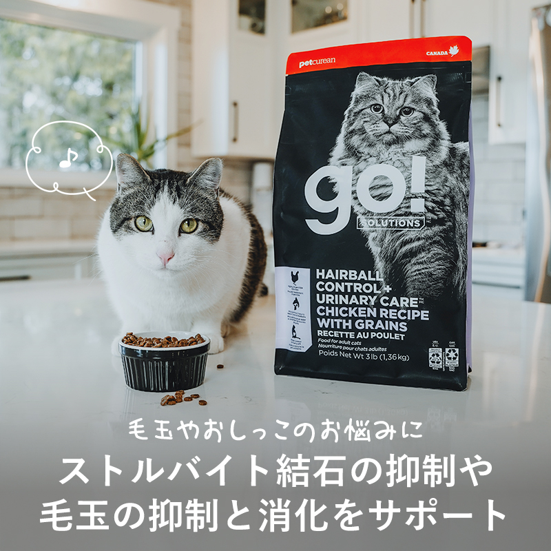 ゴー CAT 毛玉+下部尿路ケア チキン お試...の詳細画像3