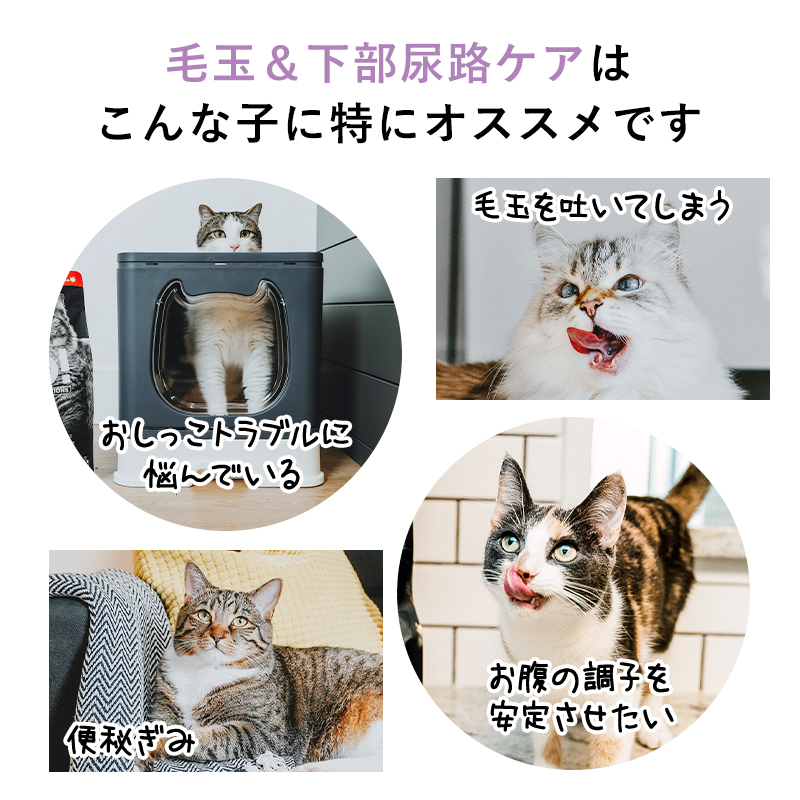 ゴー CAT 毛玉+下部尿路ケア チキン お試...の詳細画像4