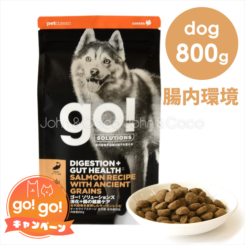 ゴー DOG 消化＋腸の健康ケア サーモン 800g｜john-coco