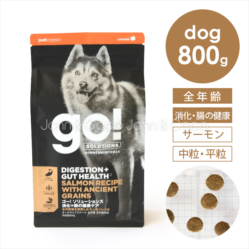 ゴー DOG 消化＋腸の健康ケア サーモン 800g 犬 ドッグフード ドライフード 魚 お腹 プロバイオティクス 腸活