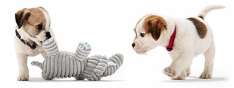 犬用品 おもちゃ Hunter ハンター ｇ ｈ ｉ ブランド別 犬と猫のjohn Coco ジョン ココ 通販 Paypayモール