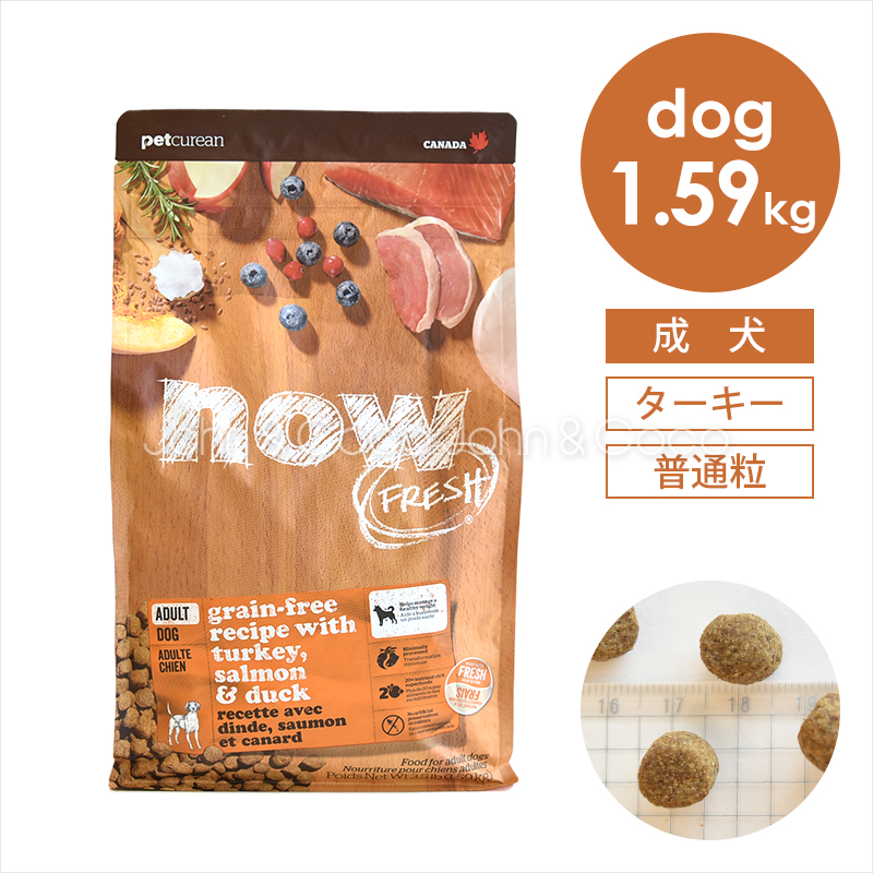 ナウ フレッシュ（NOW FRESH） グレインフリー アダルト 1.59kg 犬 ドッグフード ドライフード 成犬 普通粒 ターキー | NOW FRESH