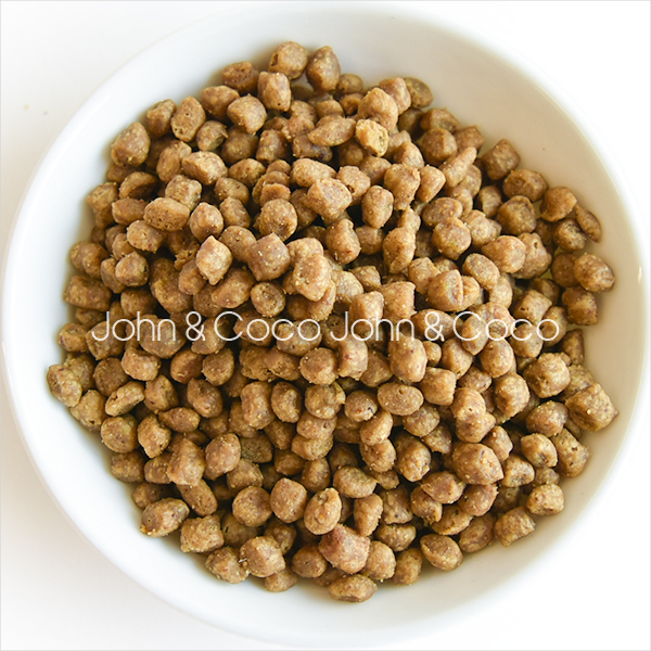ナウ フレッシュ（NOW FRESH） グレインフリー キトン 1.36kg 猫 キャットフード ドライフード 子猫 幼猫 ターキー 小粒 | NOW FRESH | 01