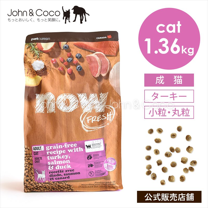 NOW FRESH ナウ フレッシュ（NOW FRESH） CAT グレインフリー キトン