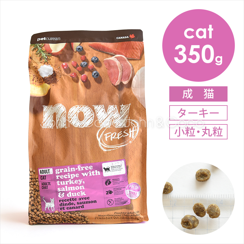 ナウフレッシュ　キャットフード　色々 ナウフレッシュ グレインフリー キトン（子猫用）｜みんなのペット健康