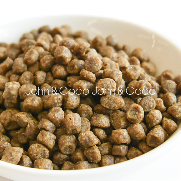 ナウ フレッシュ(NOW FRESH) CAT...の詳細画像4