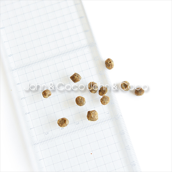 ナウ フレッシュ(NOW FRESH) CAT...の詳細画像5