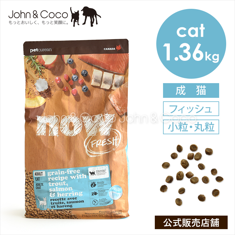 ナウ フレッシュ グレインフリー フィッシュアダルトキャット 1.36kg 猫 キャットフード ドライフード nowfresh【公式販売店】