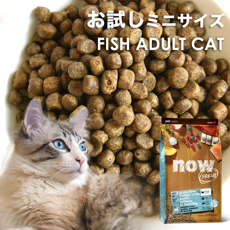 【送料無料】Ｊ＆Ｃ 限定 ジョンココ トライアルセット 猫用 お試し商品 サンプル キャットフード ドライフード ウェットフード オヤツ 「おひとり様おひとつ」 |  | 06