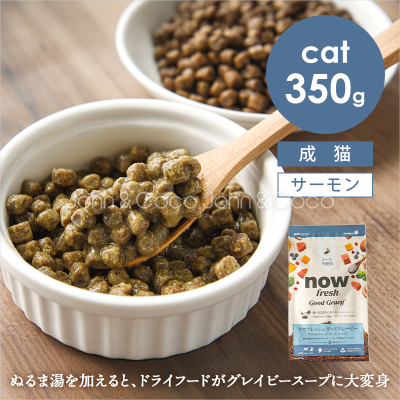 ナウフレッシュ CAT グッドグレービー アダルトキャット サーモンレシピ 350g 猫 キャットフード ドライフード グレインフリー