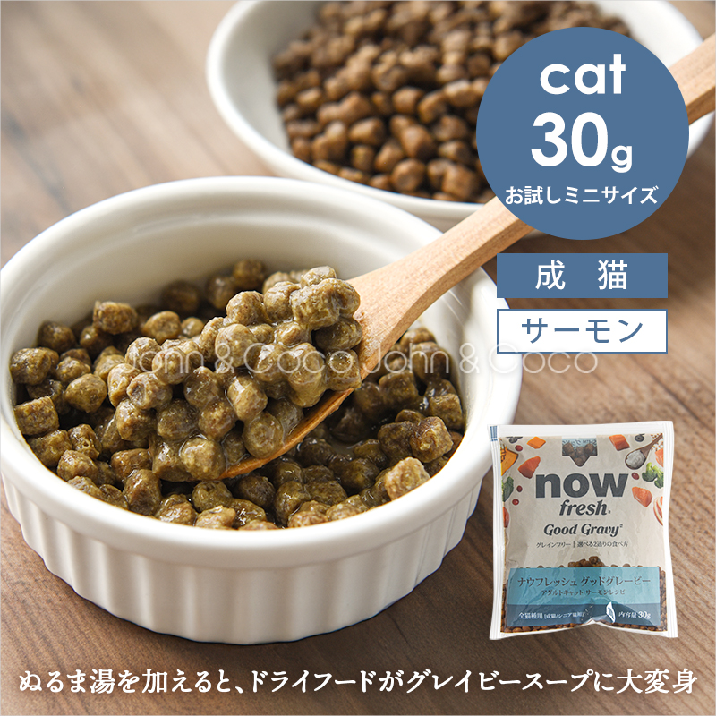 ナウフレッシュ CAT グッドグレービー アダルトキャット サーモンレシピ お試しミニサイズ 30g 猫 キャットフード ドライフード グレインフリー